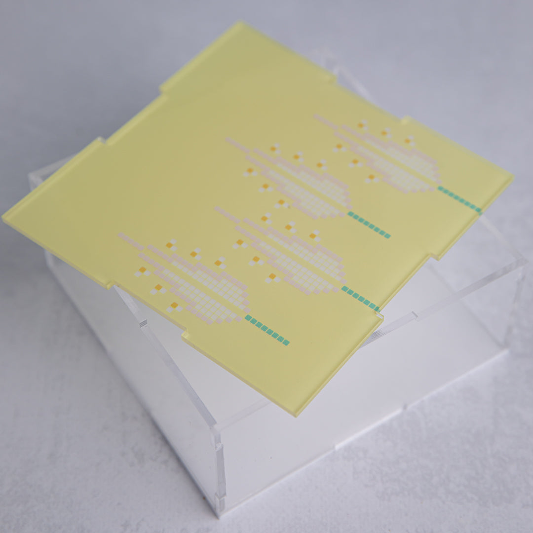 Spring small box (yellow)